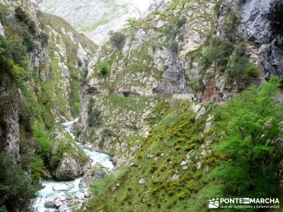 Ruta del Cares - Garganta Divina - Parque Nacional de los Picos de Europa;escapadas desde madrid